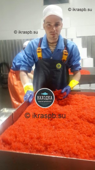 Находка - морские деликатесы